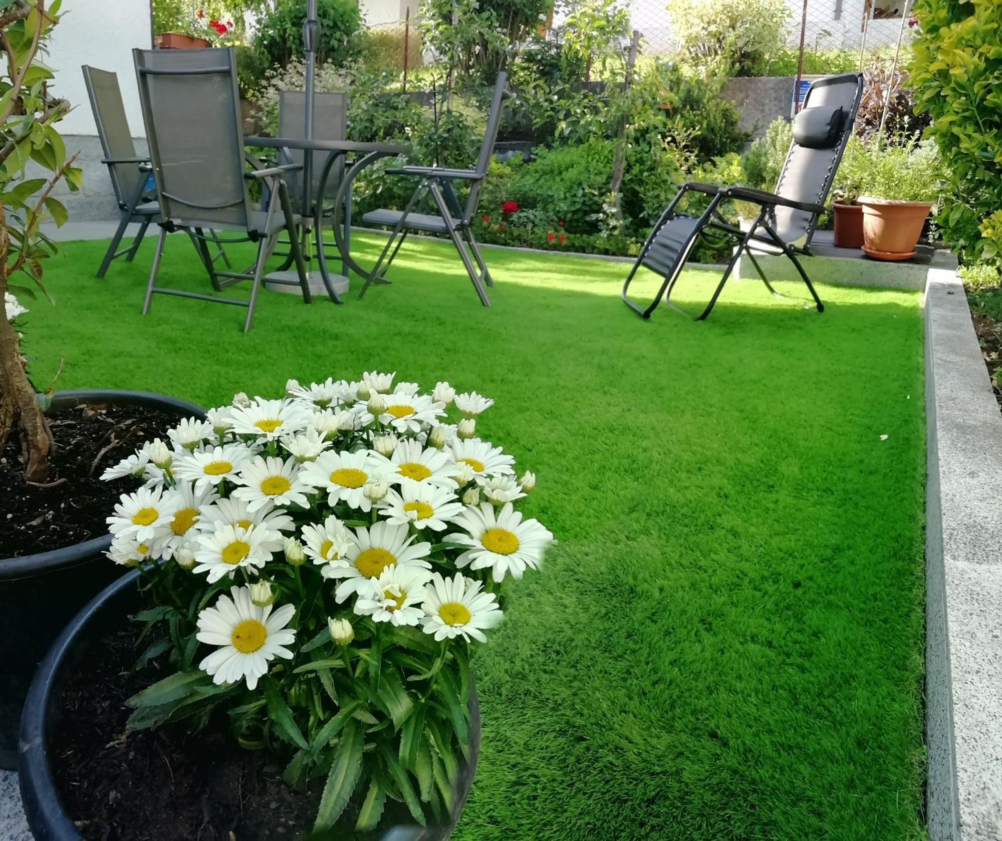 Appartamento Con Giardino Carisolo Exterior photo